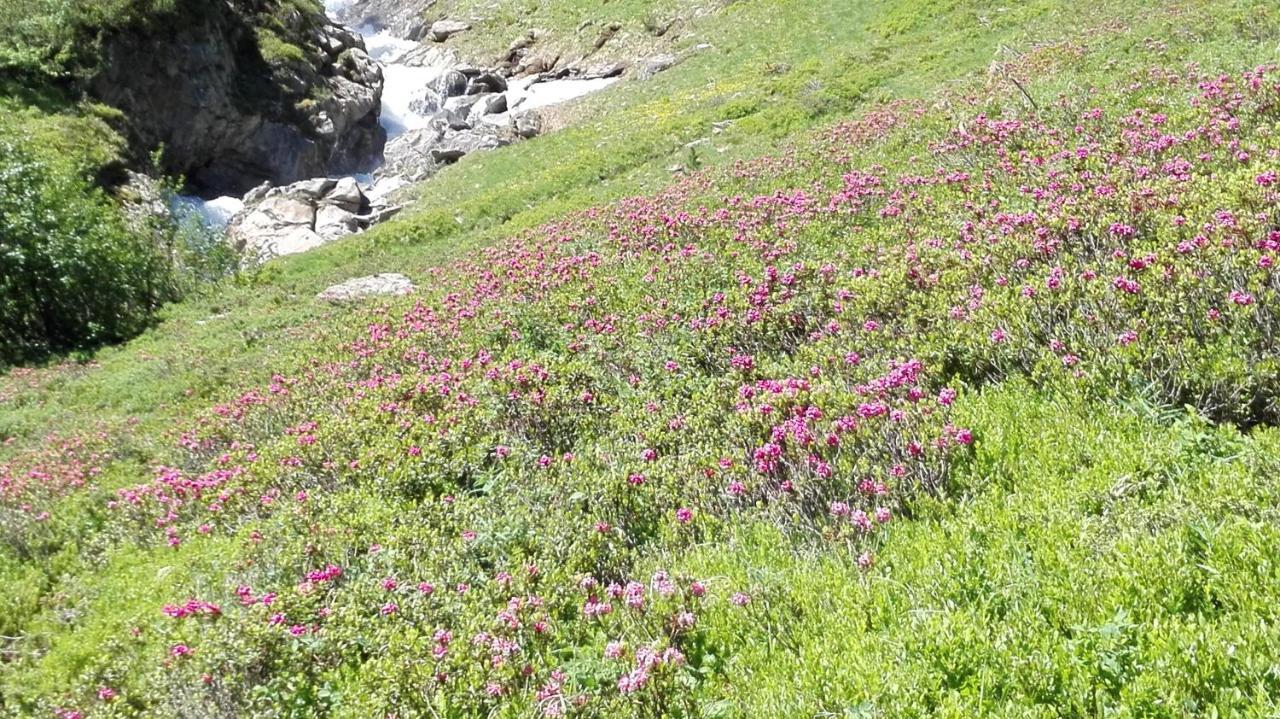 Appartement Ewald Siller Neustift im Stubaital Eksteriør bilde
